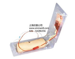 高級肘部靜脈穿刺訓練模型——醫(yī)療護理實訓的關鍵工具